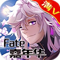 fate嘉年华电脑版