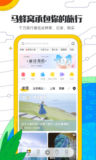 觅游国际d官方版下载