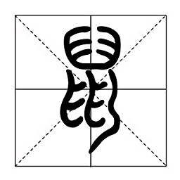 篆鼠识别软件